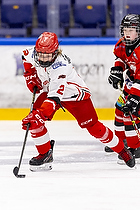 Klik for at se eller bestil foto