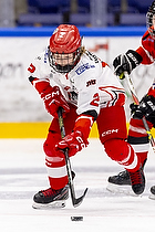 Klik for at se eller bestil foto