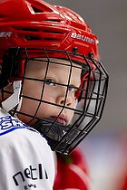 Klik for at se eller bestil foto