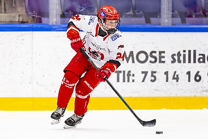 Klik for at se eller bestil foto