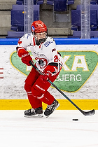 Klik for at se eller bestil foto