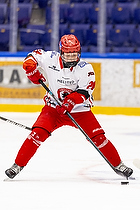 Klik for at se eller bestil foto