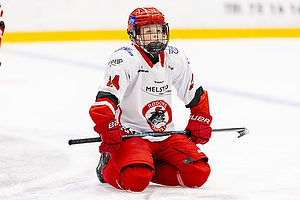 Klik for at se eller bestil foto