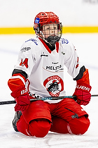 Klik for at se eller bestil foto