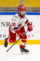 Klik for at se eller bestil foto