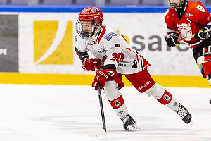 Klik for at se eller bestil foto