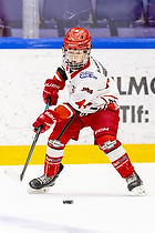 Klik for at se eller bestil foto