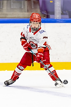 Klik for at se eller bestil foto