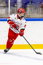 Klik for at se eller bestil foto