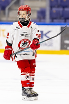 Klik for at se eller bestil foto