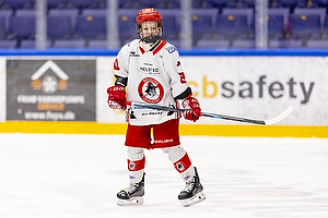 Klik for at se eller bestil foto