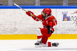 Klik for at se eller bestil foto