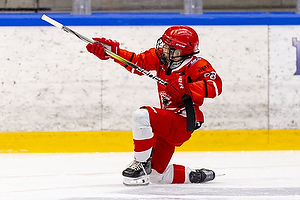 Klik for at se eller bestil foto