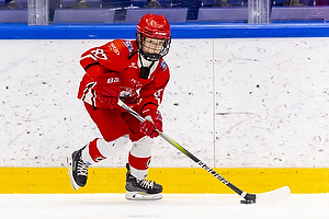 Klik for at se eller bestil foto