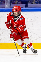 Klik for at se eller bestil foto