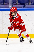 Klik for at se eller bestil foto