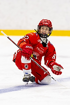 Klik for at se eller bestil foto