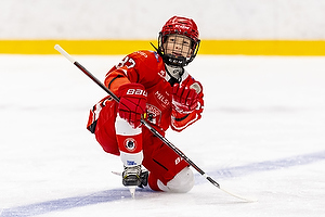 Klik for at se eller bestil foto