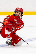 Klik for at se eller bestil foto