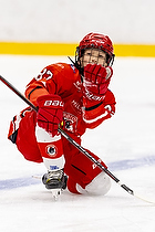 Klik for at se eller bestil foto