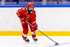 Klik for at se eller bestil foto