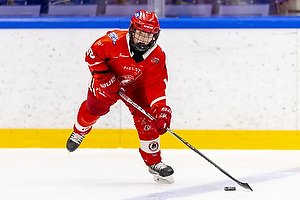 Klik for at se eller bestil foto