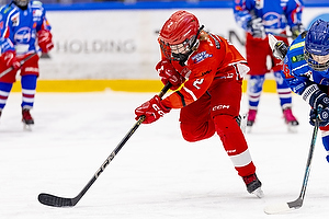 Klik for at se eller bestil foto