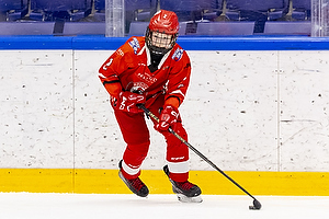 Klik for at se eller bestil foto