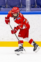 Klik for at se eller bestil foto