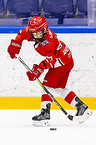 Klik for at se eller bestil foto