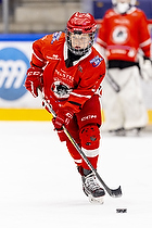 Klik for at se eller bestil foto