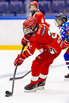 Klik for at se eller bestil foto