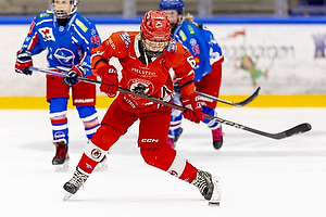 Klik for at se eller bestil foto