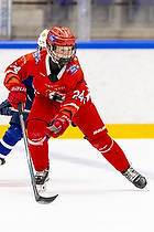 Klik for at se eller bestil foto