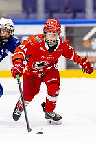 Klik for at se eller bestil foto