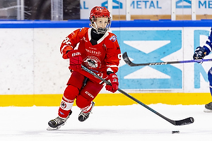 Klik for at se eller bestil foto