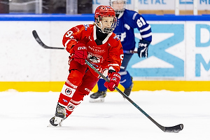 Klik for at se eller bestil foto