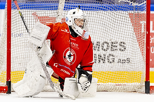 Klik for at se eller bestil foto