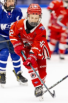 Klik for at se eller bestil foto