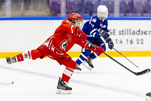 Klik for at se eller bestil foto