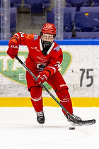 Klik for at se eller bestil foto