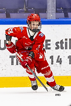 Klik for at se eller bestil foto