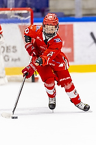 Klik for at se eller bestil foto