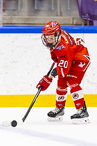 Klik for at se eller bestil foto