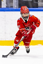 Klik for at se eller bestil foto