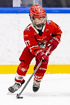 Klik for at se eller bestil foto