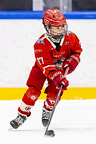 Klik for at se eller bestil foto