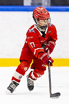 Klik for at se eller bestil foto