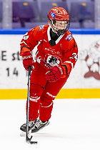 Klik for at se eller bestil foto