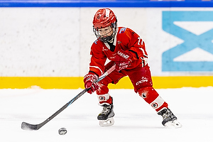 Klik for at se eller bestil foto